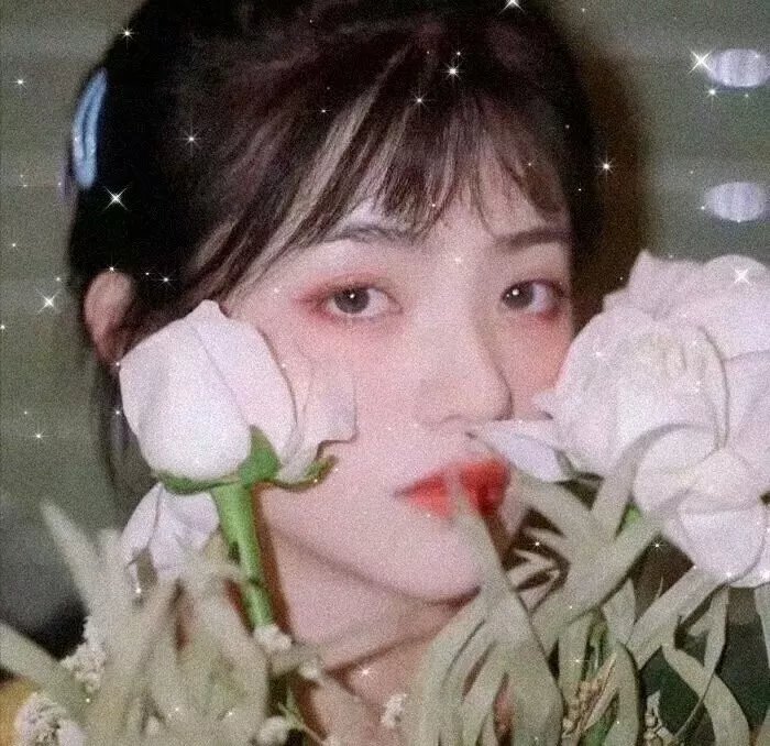 少女地球守护者