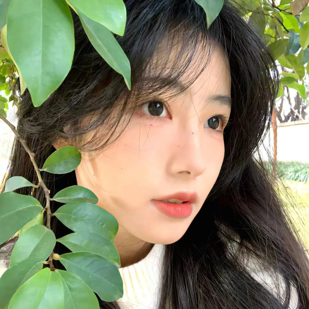 敌对同谋